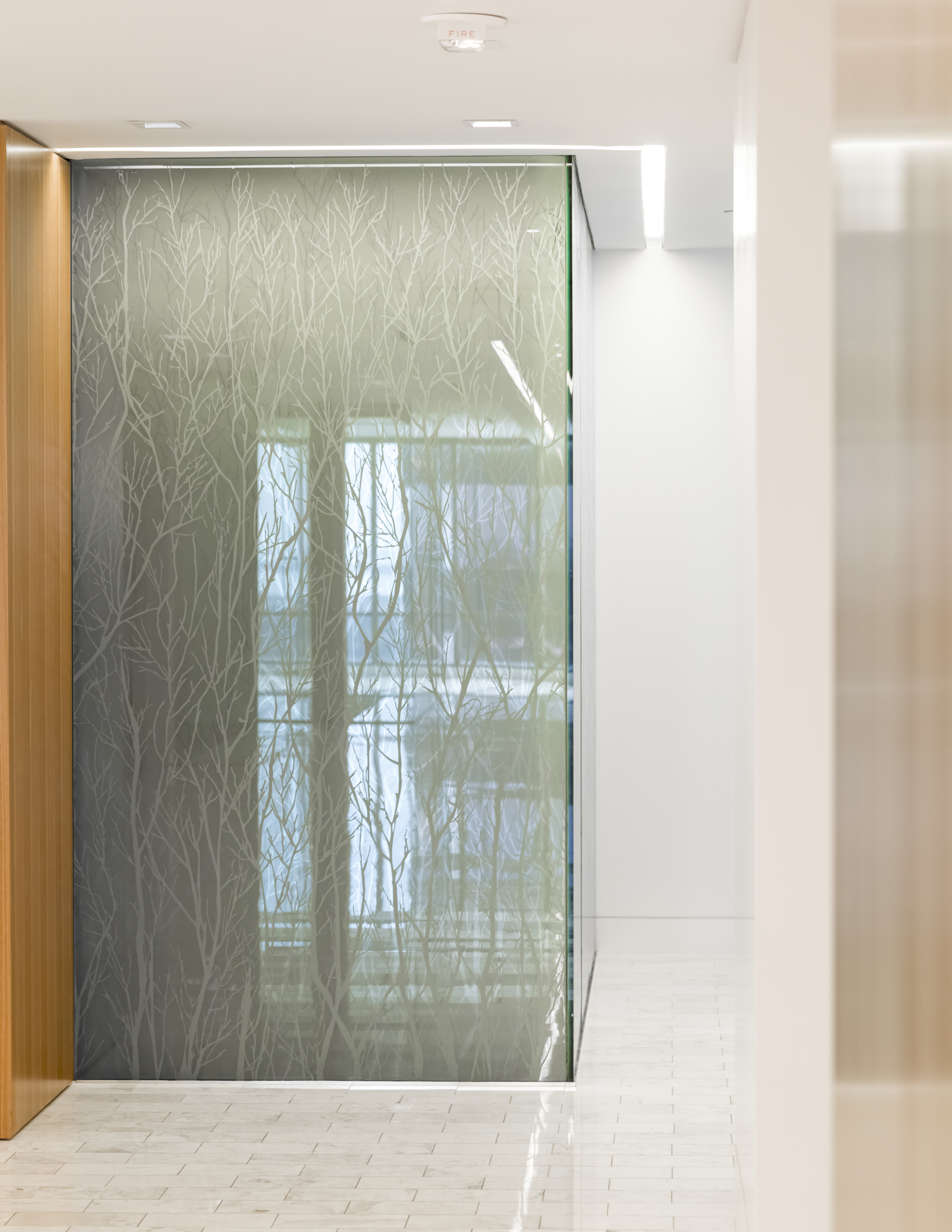 Tampaarchitecturalphotographer21